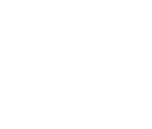 house bed bug treatment white e1779333565822