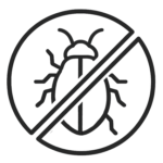 no bed bugs